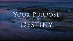 JNL – Chapter 8 – Your-Purpose-and-Destiny – NEW